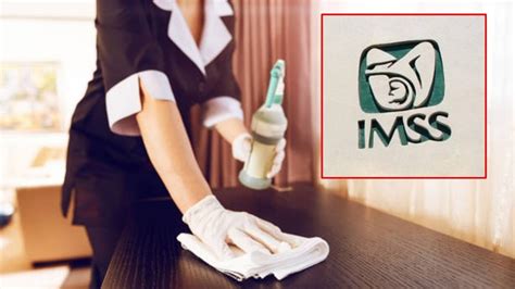 Trabajadoras Del Hogar Deben Ser Aseguradas El IMSS Va A Facilitar El