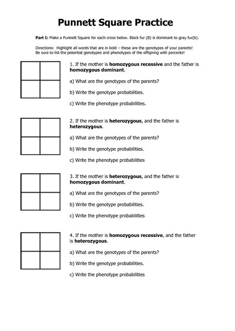 Free Printable Punnett Square Worksheet