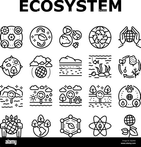 Ecosystem Environment Collection Icons Set Vector Stock Vector Image