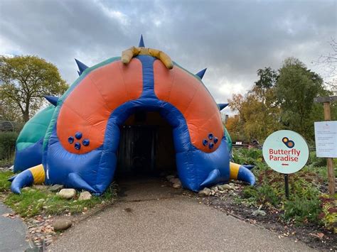 The ULTIMATE GUIDE to LONDON ZOO FOR KIDS (NEW!)