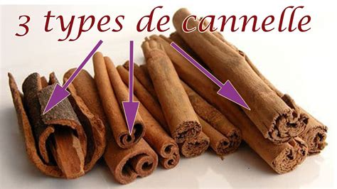 La cannelle quelles sont ses propriétés thérapeutiques et comment la