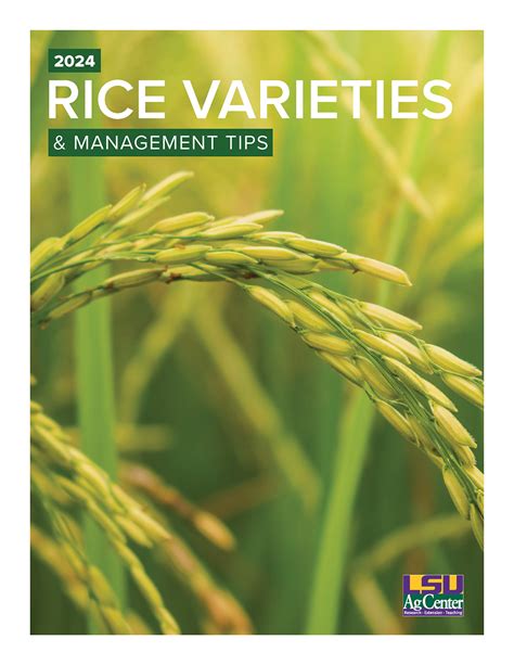 Rice Variety Selection - Rice Farming