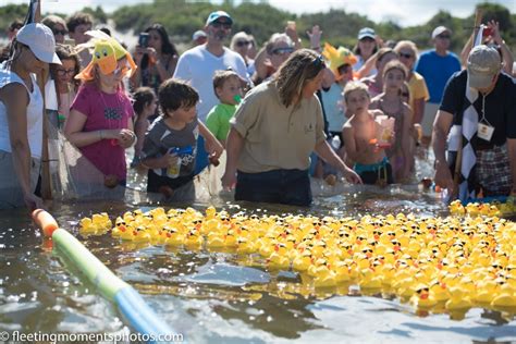 The 2018 Rubber Duck Regatta Was Just Ducky Dennis Conservation Land Trust