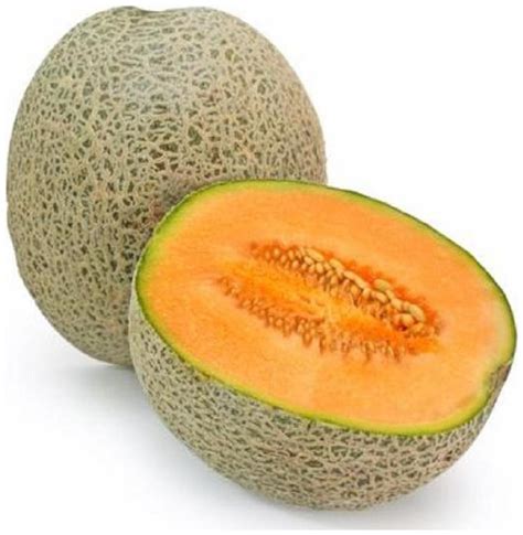 Buy Muskmelon High Quality Seeds Pack Of 30 Hybrid Seeds Online At