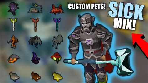 THE PERFECT OSRS CUSTOM RSPS FLAWLESS CUSTOM PETS GEAR MORE