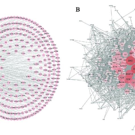 Compound Target Network And Compound Disease Network Constructed By