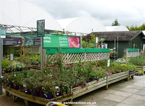 Dobbies Garden Centre Birtley Durham