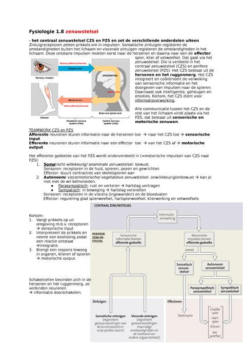 Samenvatting Mondzorgkunde 1 8 Fysiologie 1 Zenuwstelsel Het Centraal