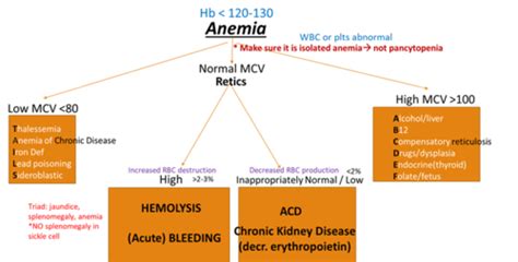 Small Group Microcytic Anemia Flashcards Quizlet