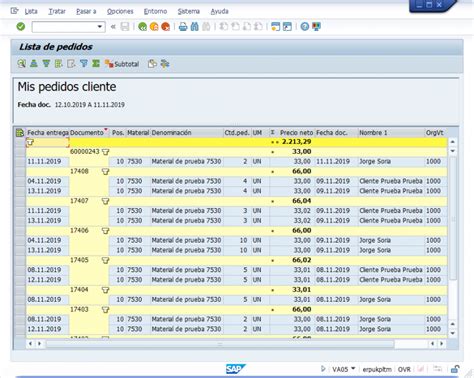 Ejercicio 21 Sap Lo Va05 Listado De Pedidos De Ventas Cursos Online