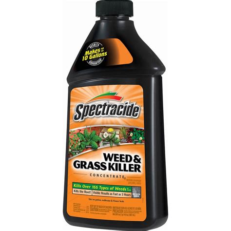 Spectracide Concentrate 30 Fl Oz Concentrate Weed And Grass Killer At