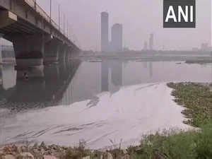 Yamuna Pollution Delhi Lg To Head Ngt Panel On Yamuna Pollution The