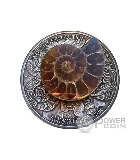 AMMONITE World Of Evolution 1 Oz Silver Coin 1000 Francs Burkina Faso 2016