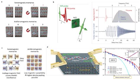 Advantages Of Antiferromagnets For Spintronics A Insensitivity To