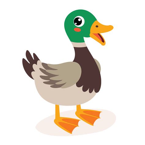 Cartoon Illustration Of A Duck 13480776 Vector Art At Vecteezy