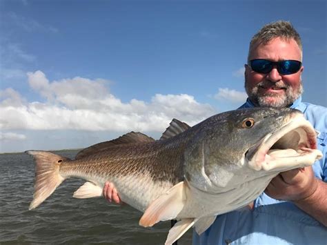 How To Catch More Red Drum Three Tips Fishtalk Magazine