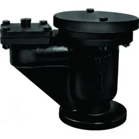 Cast Iron Kinetic Air Valve At Rs 2650 Ci Air Valve In Jalandhar Id