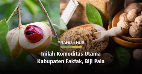 INILAH KOMODITAS UTAMA KABUPATEN FAKFAK BIJI PALA Prahu Hub