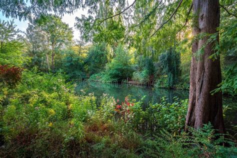 Tiergarten Park Berlin Germany Stock Photo Image Of Landscape