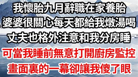 我懷胎九月辭職在家養胎，婆婆很關心每天都給我燉湯喝，丈夫也格外注意和我分房睡，可當我睡前無意打開廚房監控，畫面裏的一幕卻讓我傻了眼【倫理