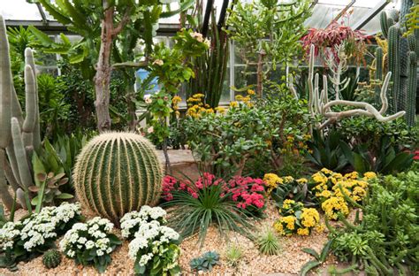 23 Cactus Garden Ideas Landscape : Garden Design