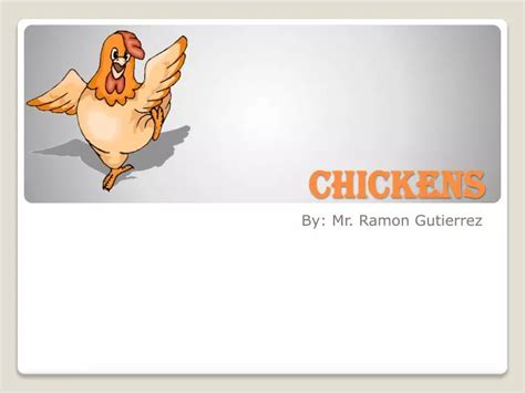 Ppt Chickens Powerpoint Presentation Free Download Id2108614