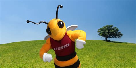 Insect Inspirations These Mascots Will Help Create A Buzz