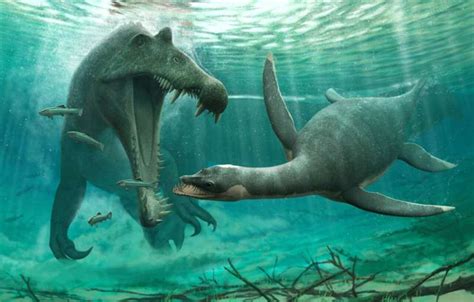 Plesiosaur fossils found in the Sahara suggest they weren't just marine ...