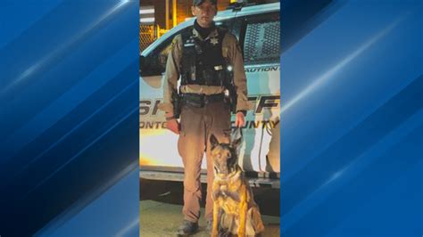 K9 Flex Gets New Body Armor Wics