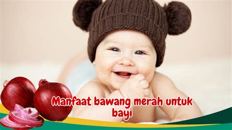 Mendukung Imunitas Pencernaan Dan Pertumbuhan Optimal Bayi Temukan