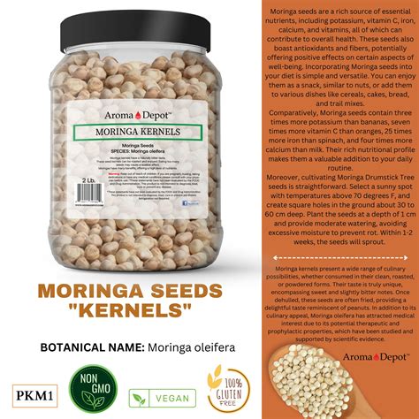 Moringa KERNEL 2 Lb JAR 3000 Shelled Moringa Oleifera Seeds