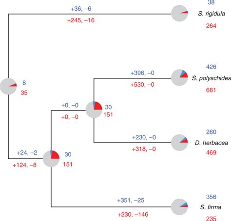 Reconstruction Of Ancestral Sex Biased Gene Sets Across The Four