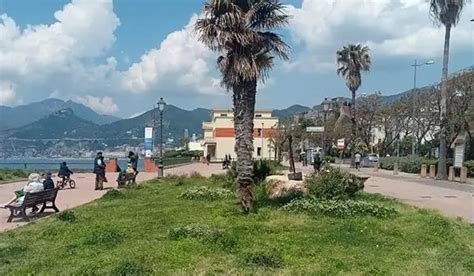 La Manutenzione Del Verde Pubblico A Salerno Ecco I Primi Interventi