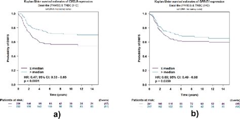 Kaplan Meier Curves For Distance Metastases Free Survival Dmfs Download Scientific Diagram