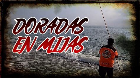 JORNADA SURFCASTING En MIJAS Encontramos Las Doradas Con PESCA MOTRIL