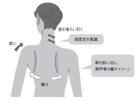 正しい姿勢をつくる「肩甲骨を外に開く」という意識 ゴールドオンライン