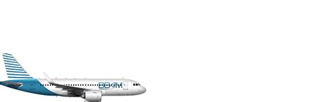 Fleet Bbam Aircraft Leasing Management