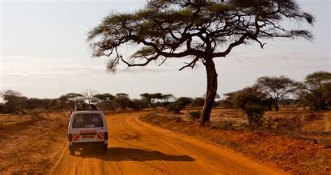 Safaris from Nairobi – Harry Adventure Safaris