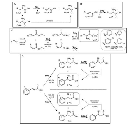 AL based production of α AAs A General scheme of PAL mediated