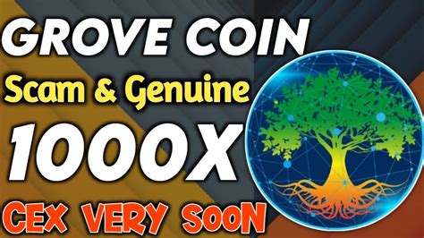 Grove Coin GRV New CEX Very Soon GVR Price Prediction Grove