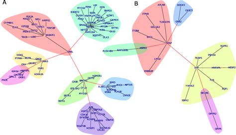 Protein Interaction Networks Highlight Major Role Of Astrocyte Marker