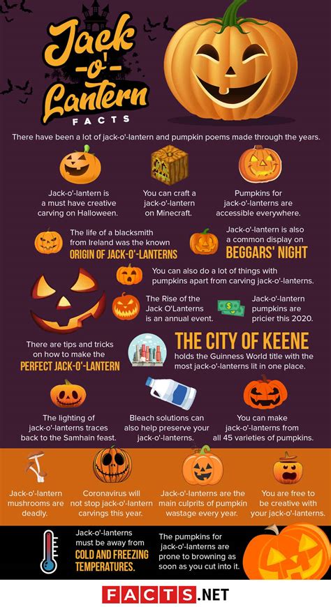 40 Fun Jack-O'-Lantern Facts For Some Trick Or Treating - Facts.net