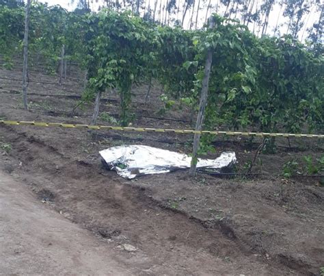 Portal Agreste Violento Agricultor Foi Assassinado Enquanto Fazia