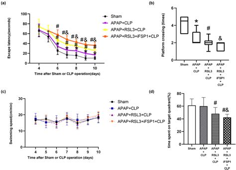 compared  rsl ifsprsl  reverses  improved cognitive