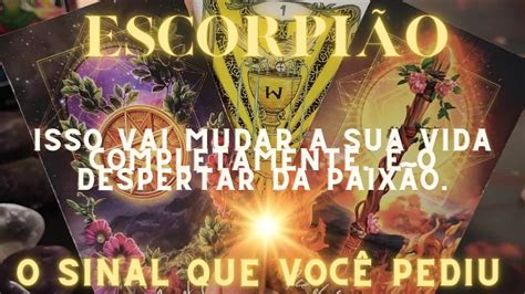 Escorpi O O Sinal Que Voc Pediu A Resposta Que Voc Busca Youtube