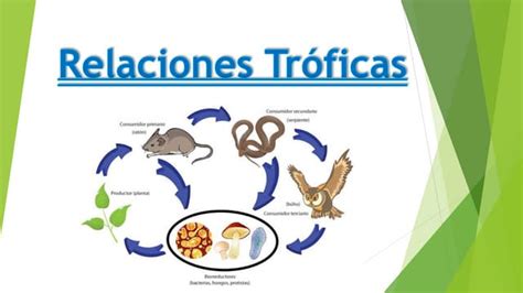 Relaciones Tróficas Ppt