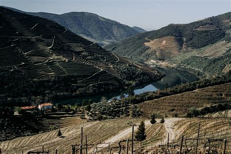 Tripadvisor Excursão privada de dia inteiro turística no Douro