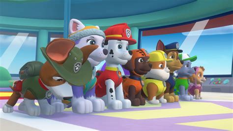 Paw Patrol Mighty Pups Save Adventure Bay 20201117191655 Waytoomanygames