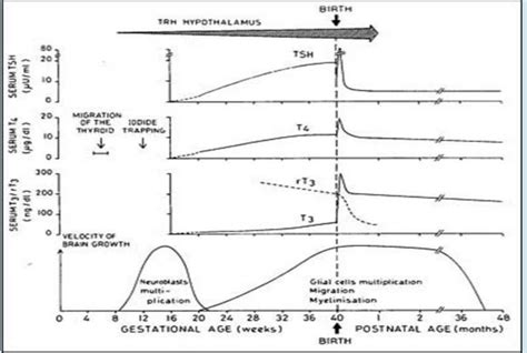 Iodized Oil | Semantic Scholar