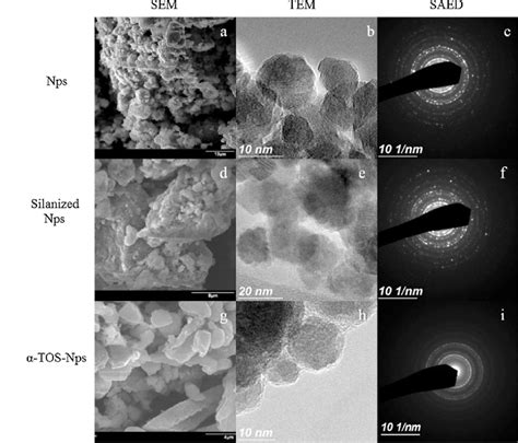 Sem Tem And Saed Images Of Magnetite Nanoparticles Before And After